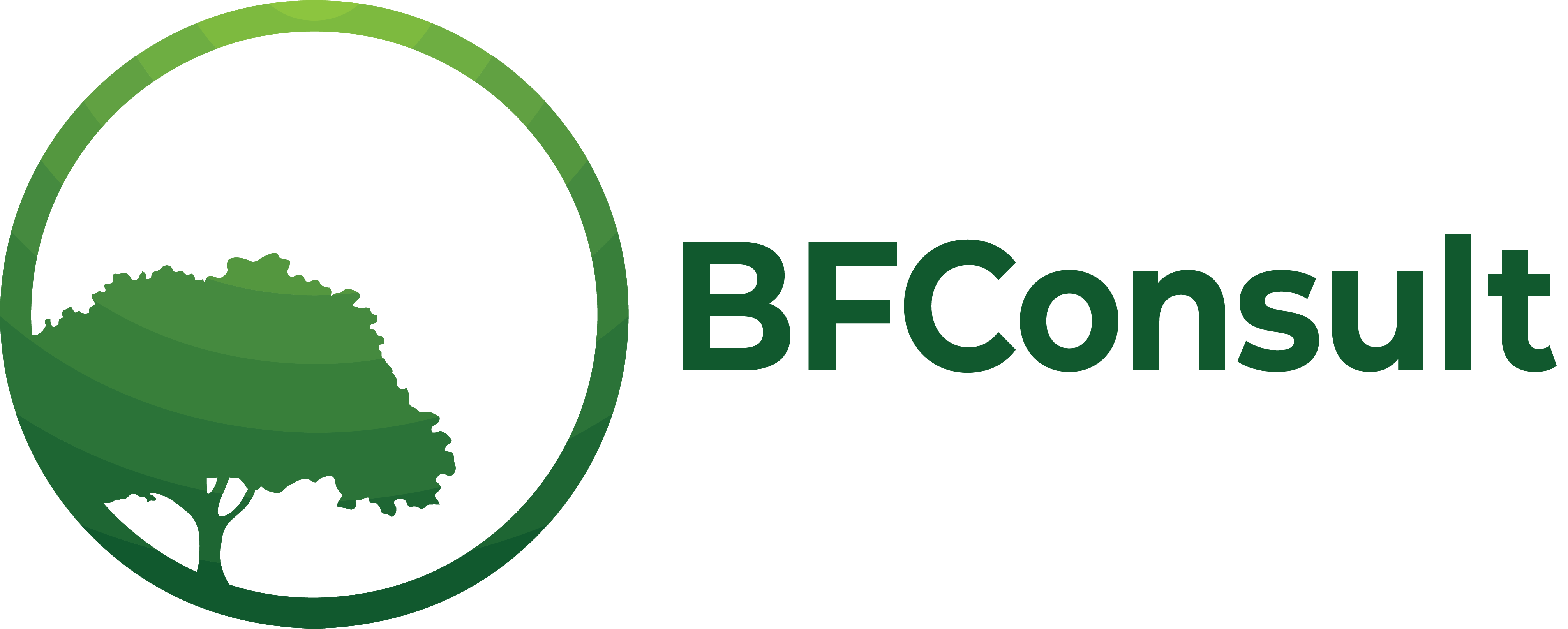 BFConsult logo: Forestry and environmental engineering