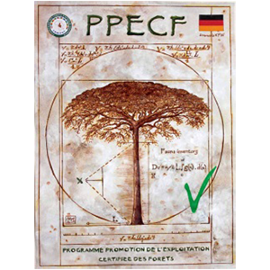 PPECF Logo